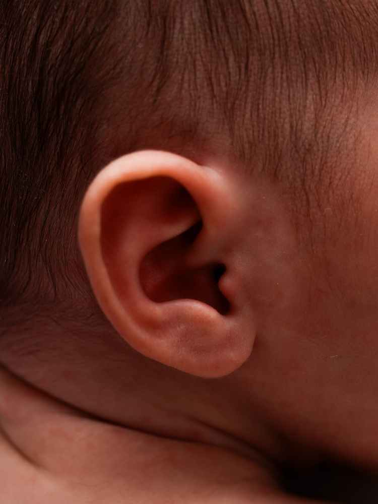 Macro da orelha e do lanugo do recém-nascido — detalhe de ensaio newborn em Brasília